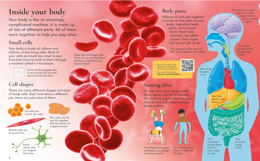 First Encyclopedia of the Human Body  Health & Everyday Life · Ages 6–8 · Pillar 3: Health